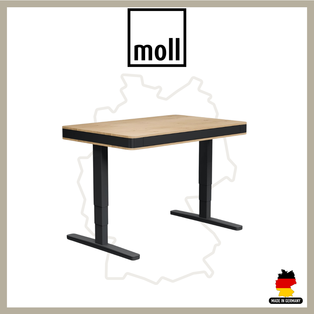 Moll T8 M Exclusive