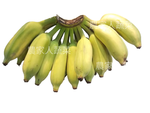 奶蕉（磅）