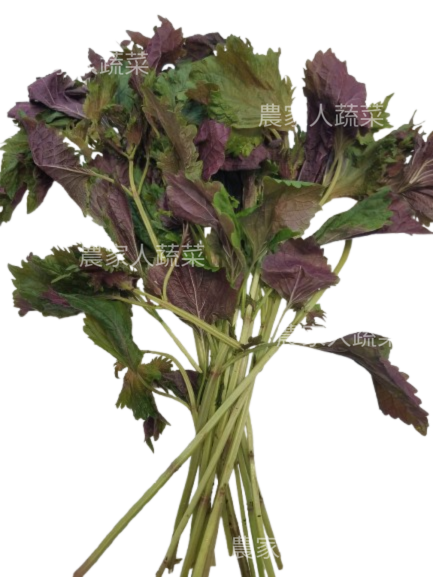 紫蘇葉（約60克）