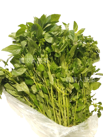 九層塔（約60克）