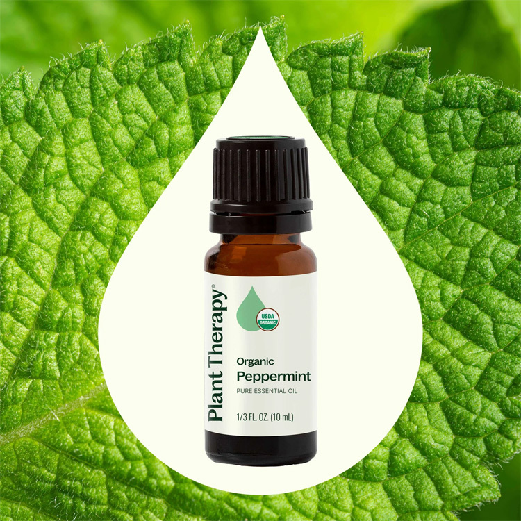 美國Plant Therapy 有機薄荷 Peppermint 精油 -10ml /30ml