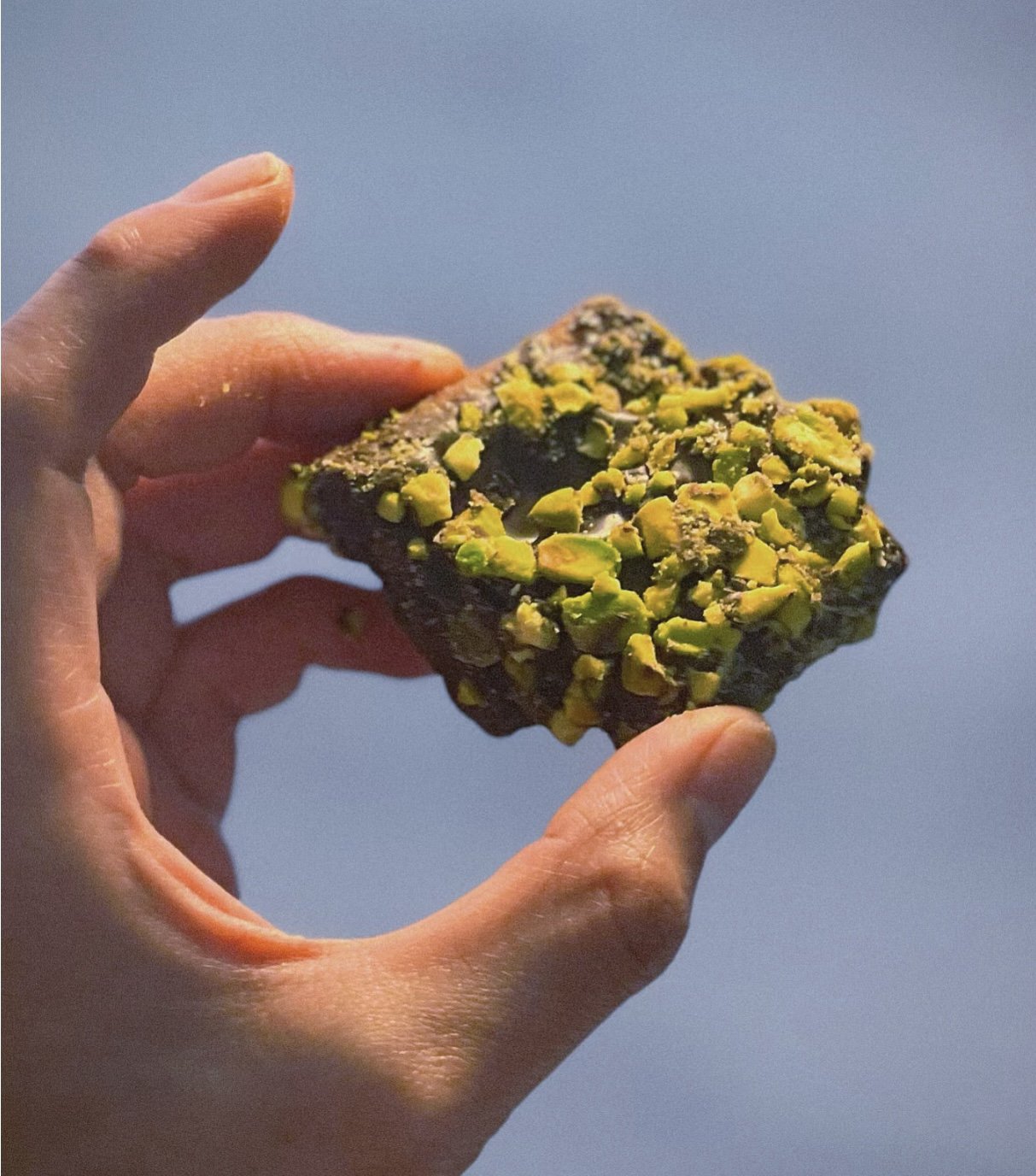 【預購】Trader Joe's K1206802 太妃朱古力開心果 212g