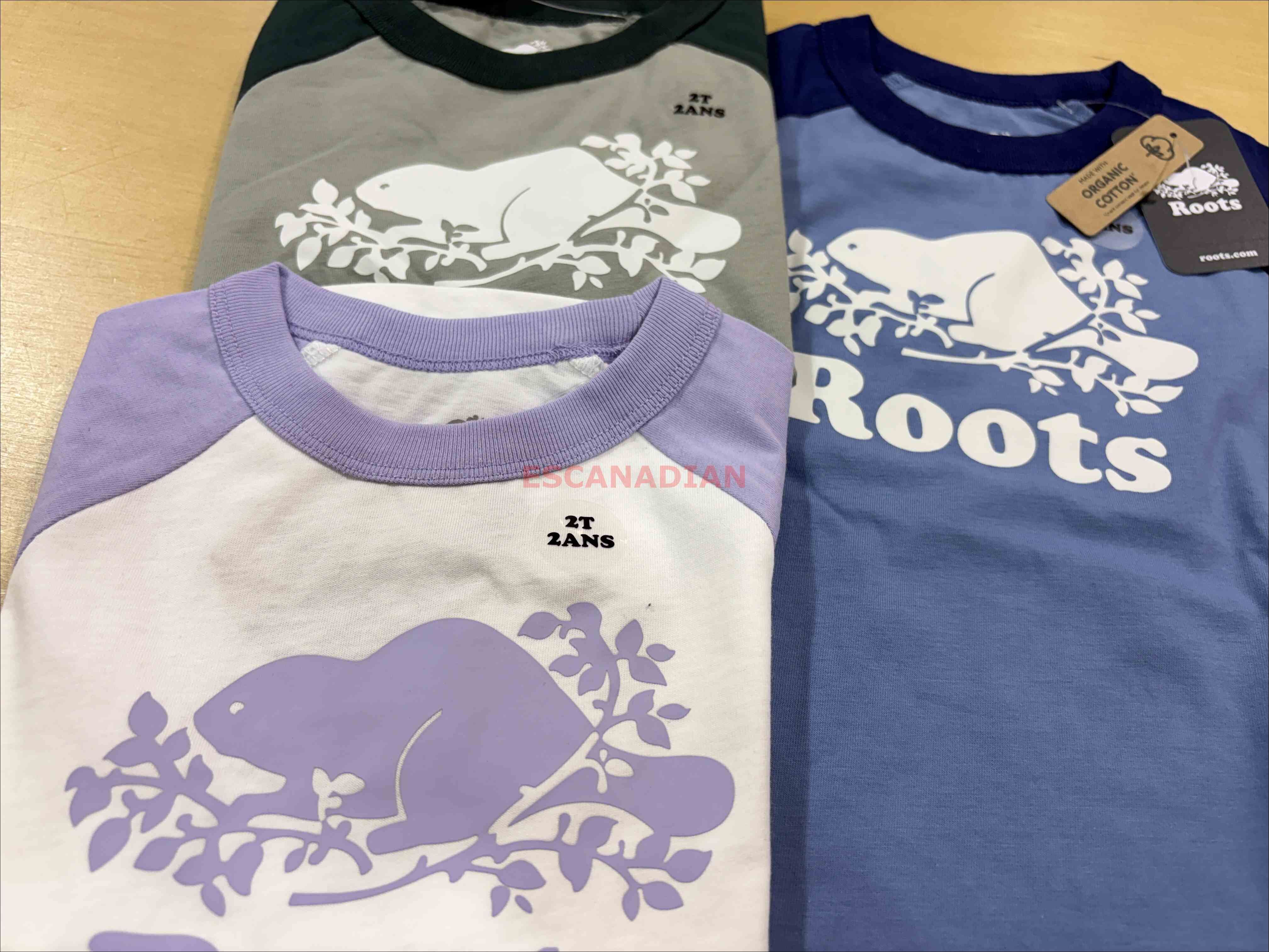 ROOTS 小童 經典海狸 棒球袖 短TEE (3色)