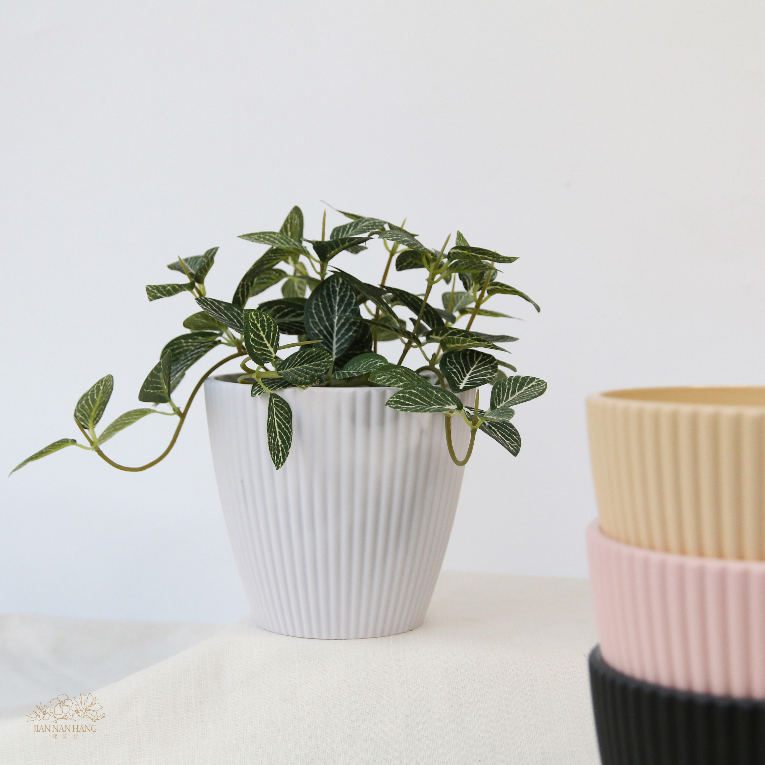 塑膠花器 直坑條 大 4色