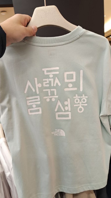[K] THENORTHFACE MINT W'S HANGEUL S/S R/TEE, NT7US55C-MIN  (KTNF75)