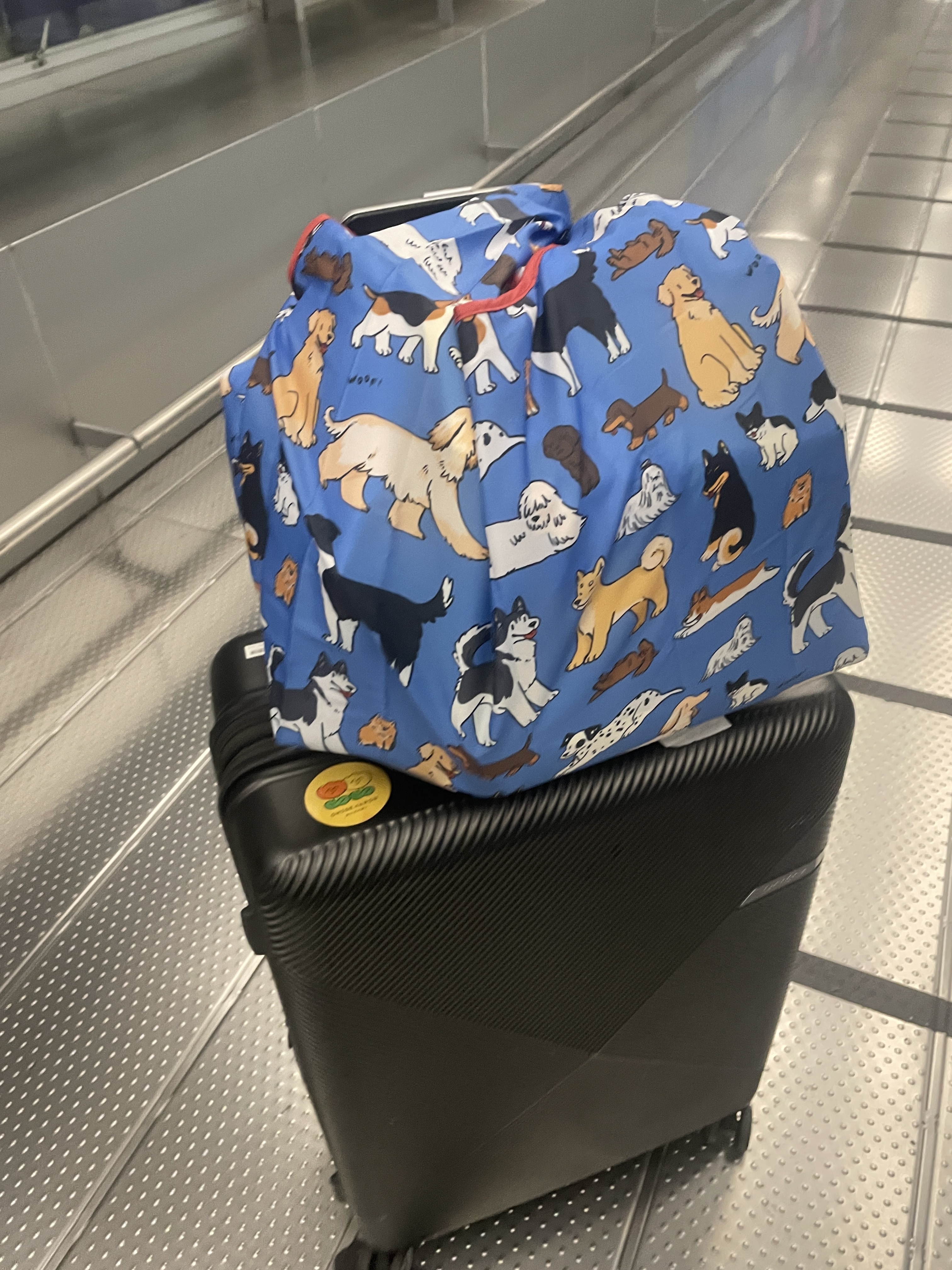 泰國插畫品牌zky.studio|滿版狗派購物袋(可收納)