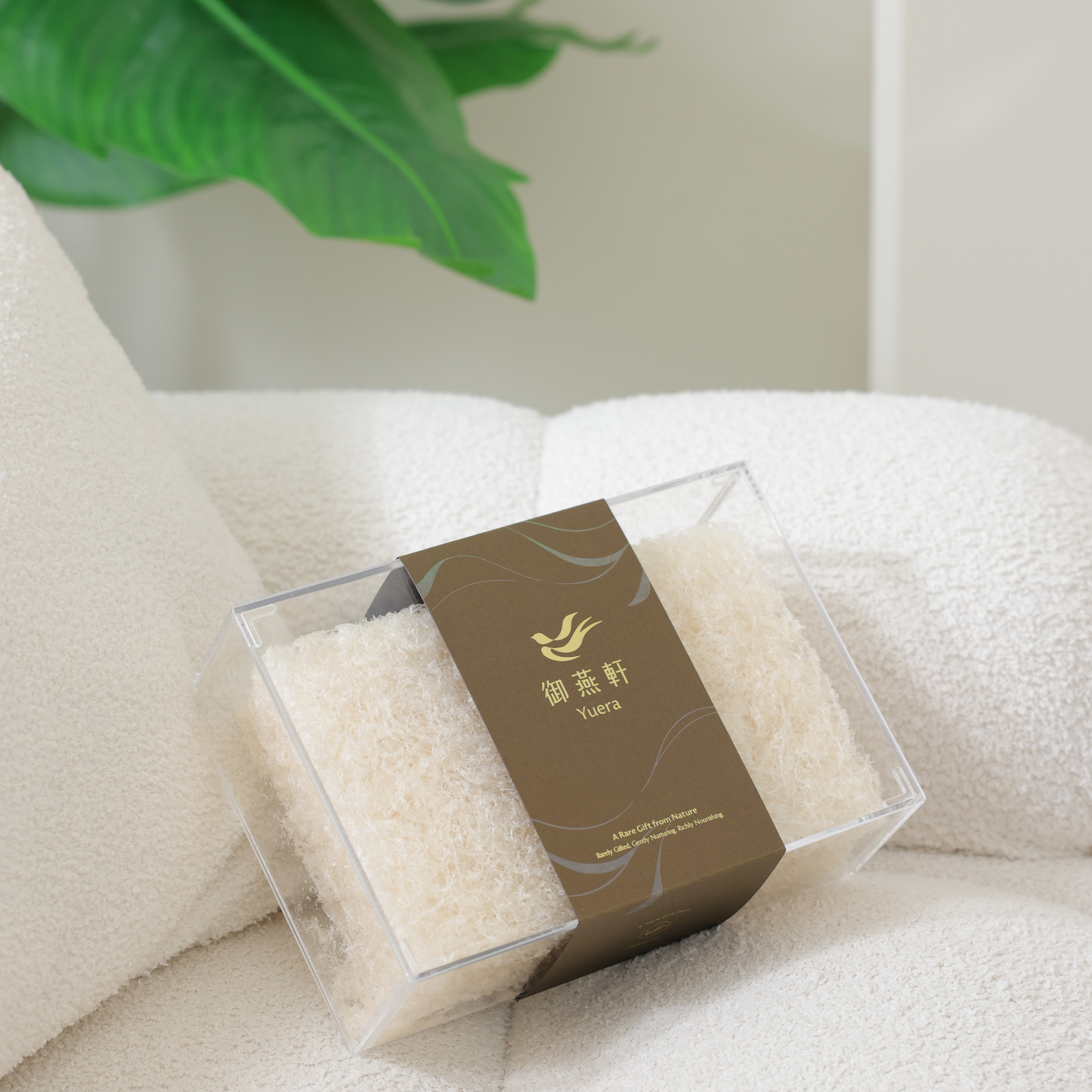 鮮燉燕窩片100%燕絲 200G