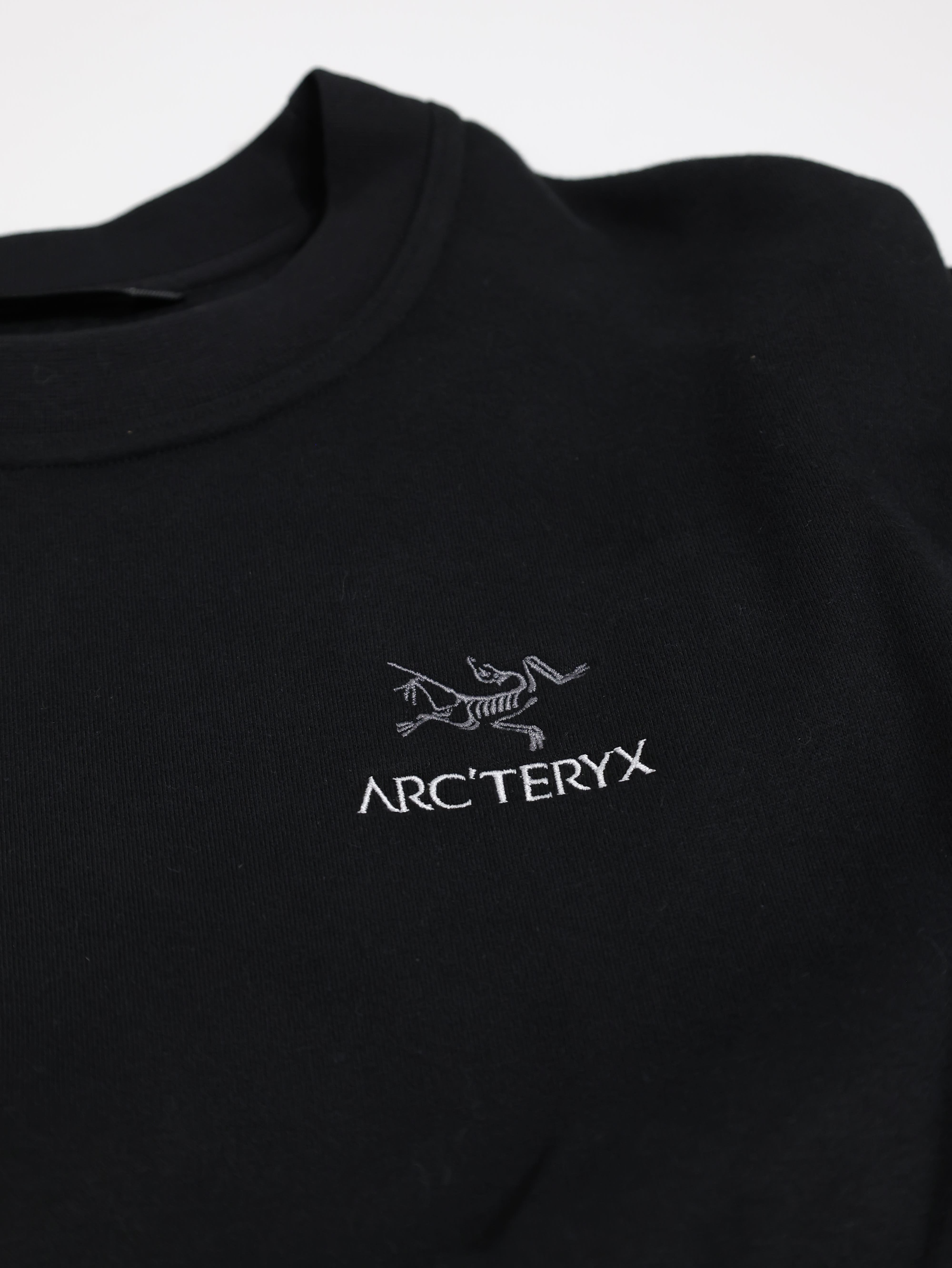 ARCTERYX 始祖鳥 女 Emblem 刷毛套頭衫 X000009312