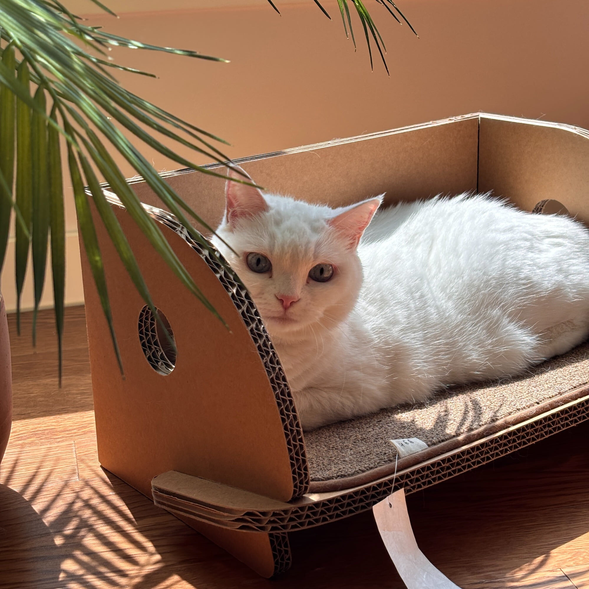 gottagohome．書架貓抓板（含抓墊）