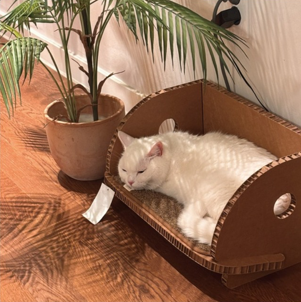 gottagohome．書架貓抓板（含抓墊）