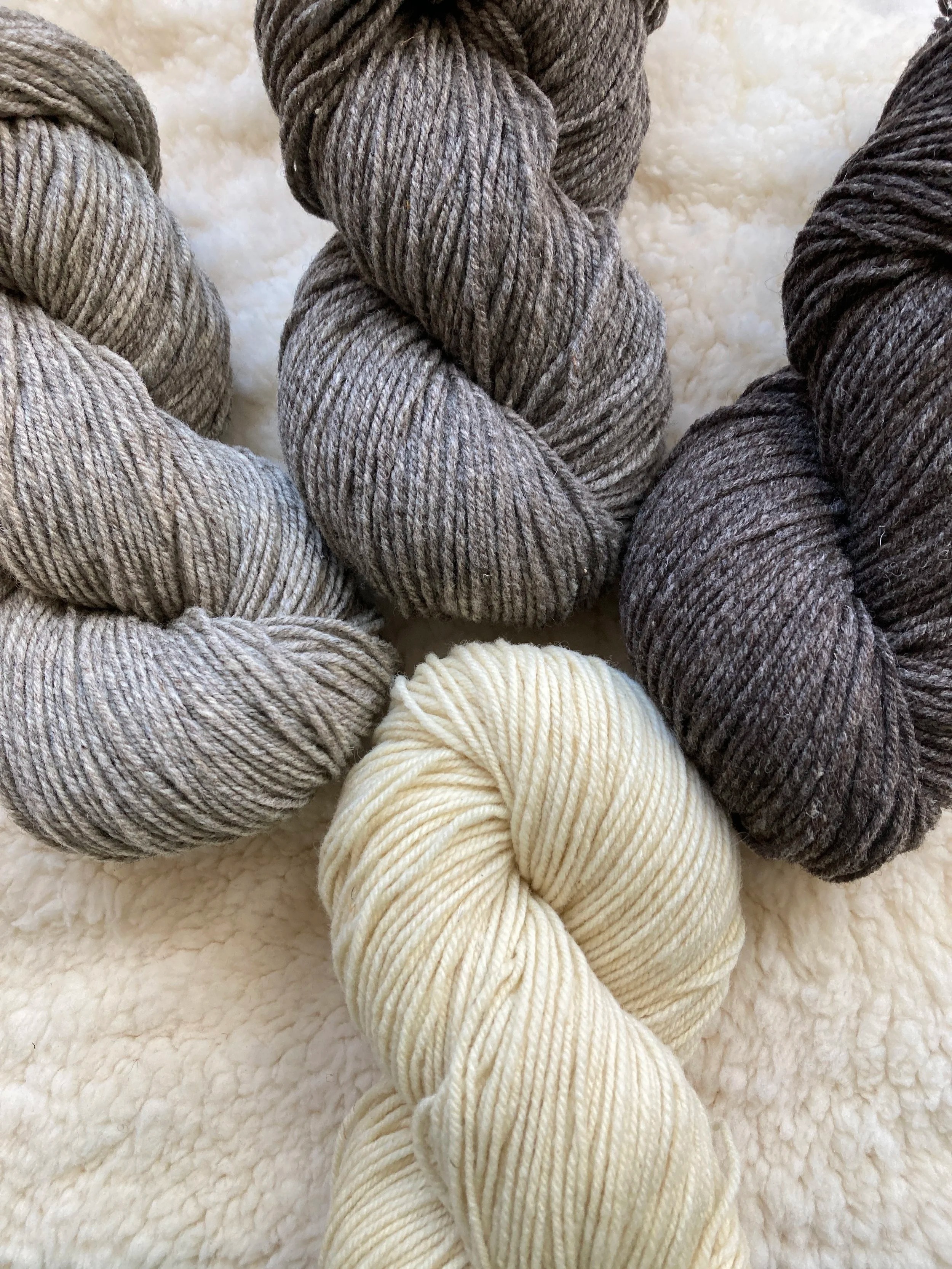 Amalgam - Jill Draper Make Stuff