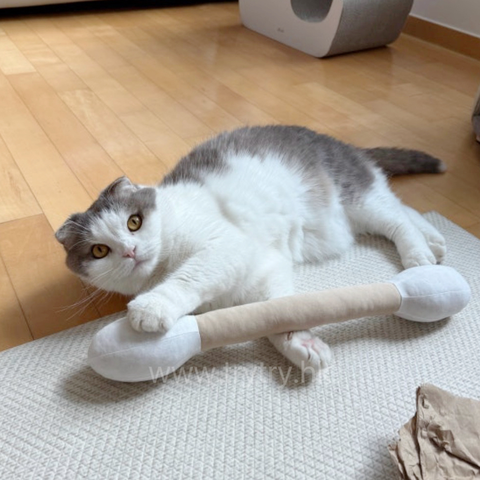 韓國 棉籤 踢踢枕