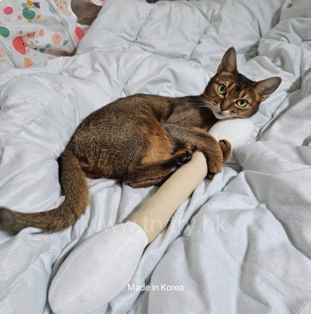 韓國 棉籤 踢踢枕