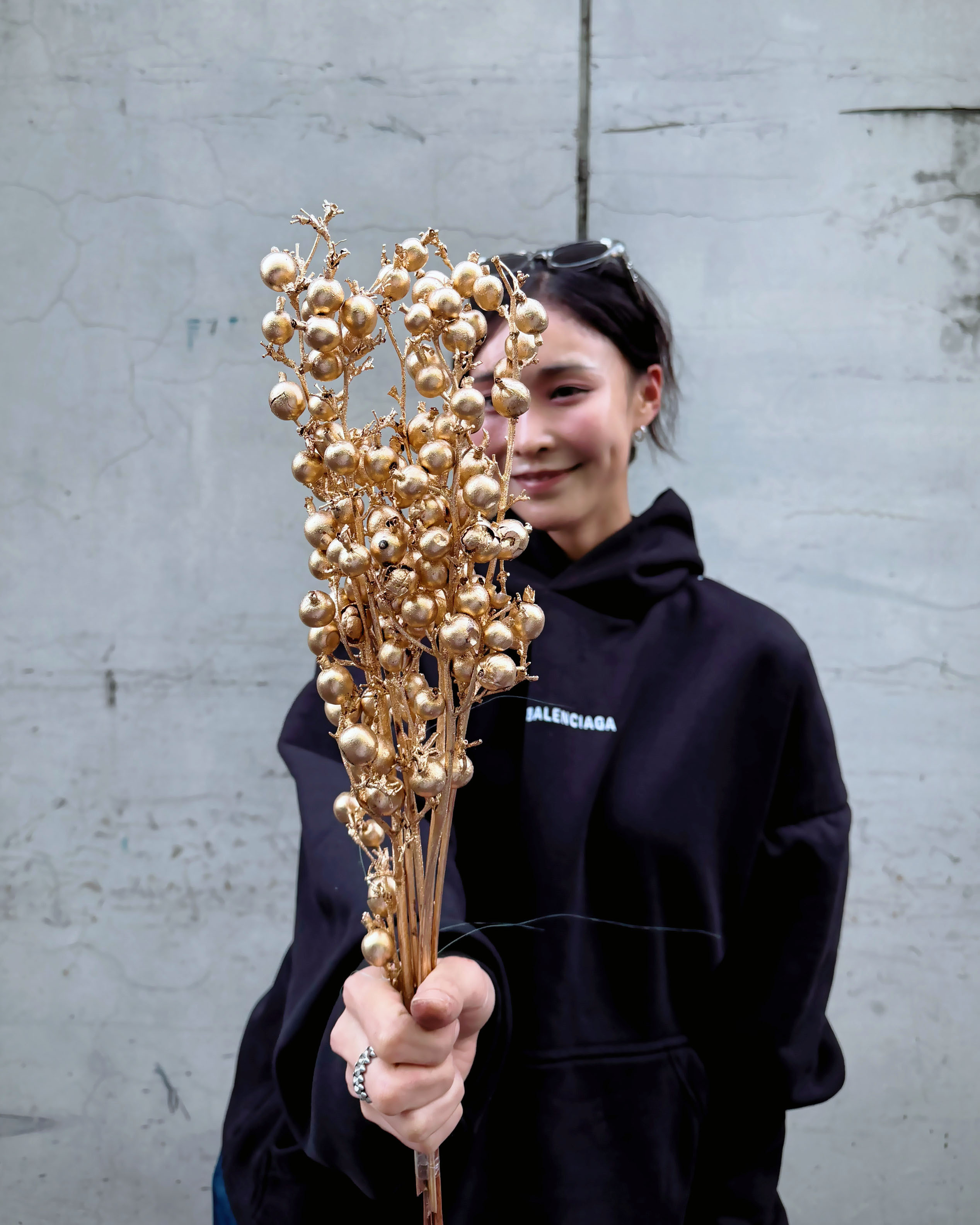 乾燥黑莓果(印度)