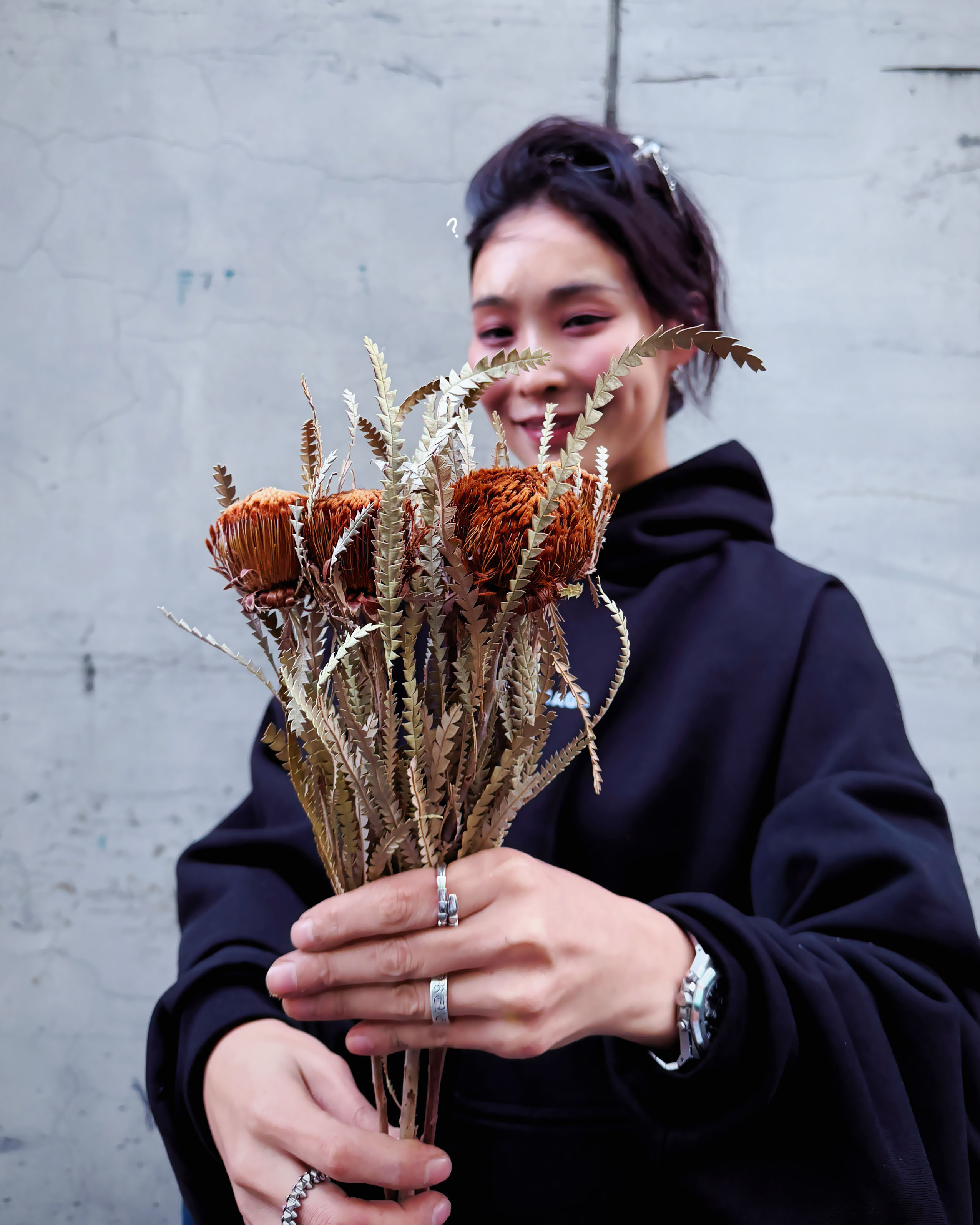 乾燥山龍眼（南非）