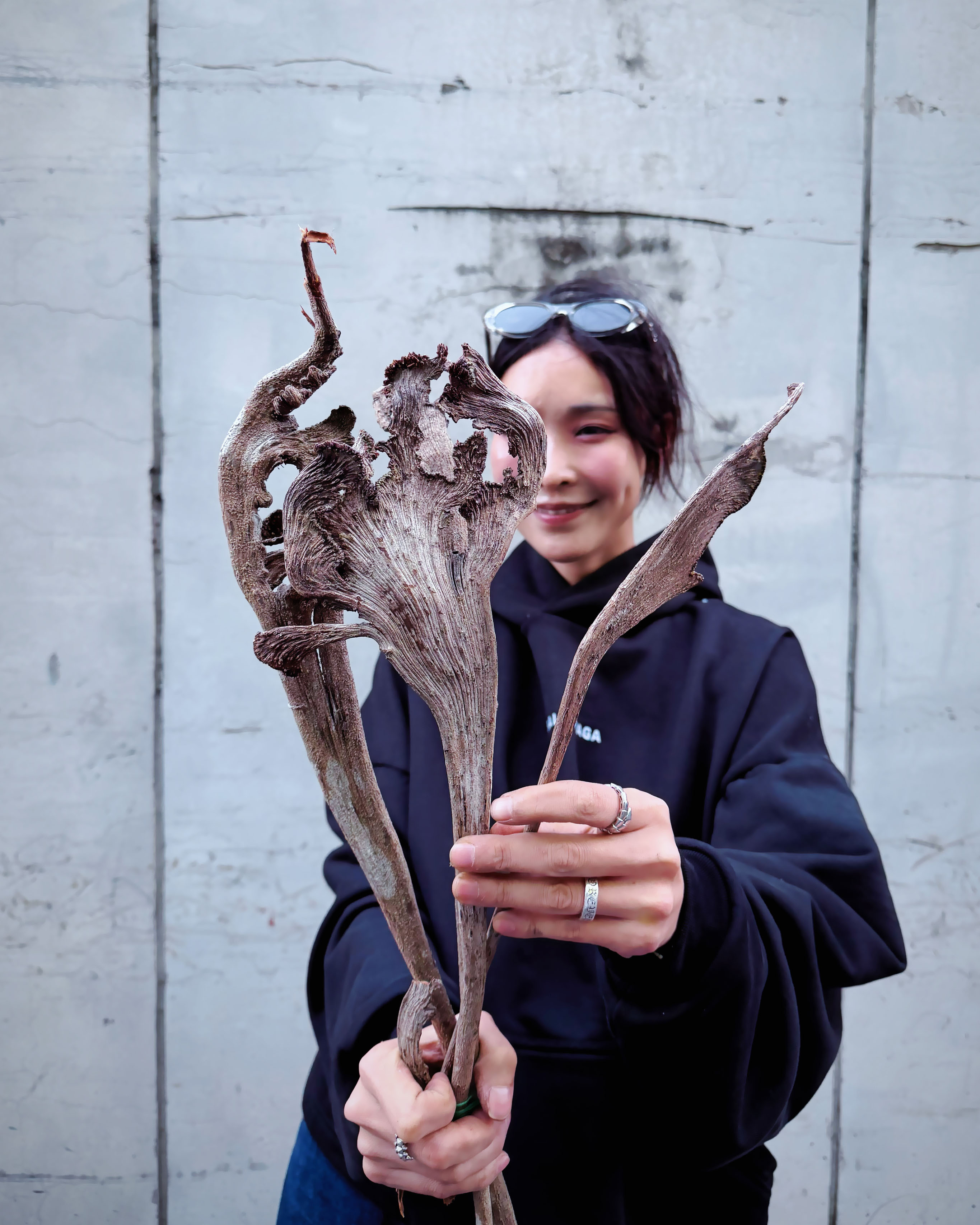 乾燥人心木（四色）