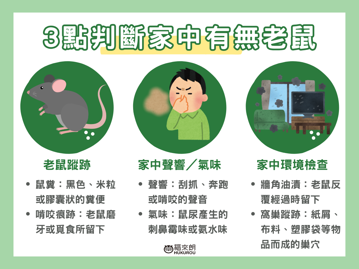 3點判斷家中有無老鼠:家中老鼠蹤跡、家中聲響/氣味、家中環境檢查