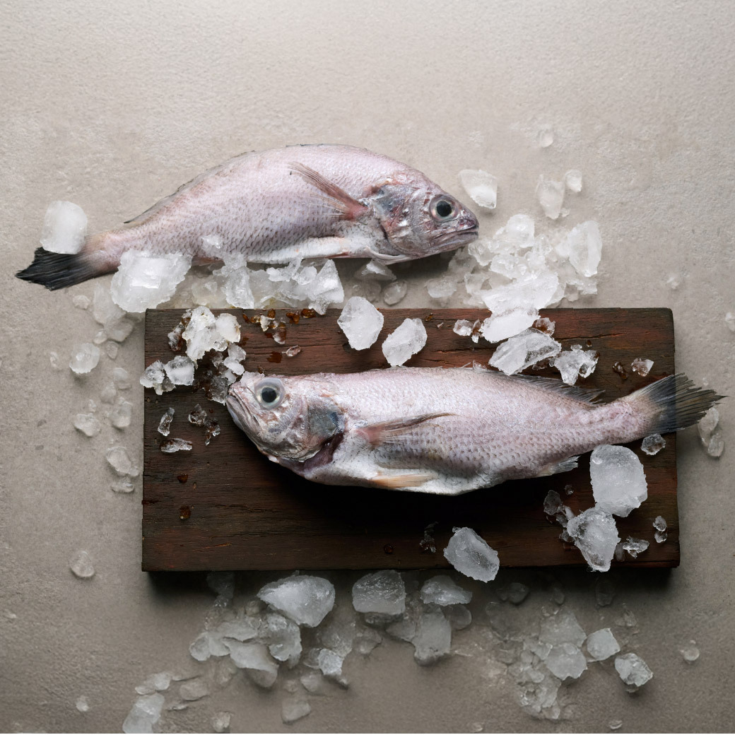 鮮魚-野生黑喉 400-450g(約2-3尾)