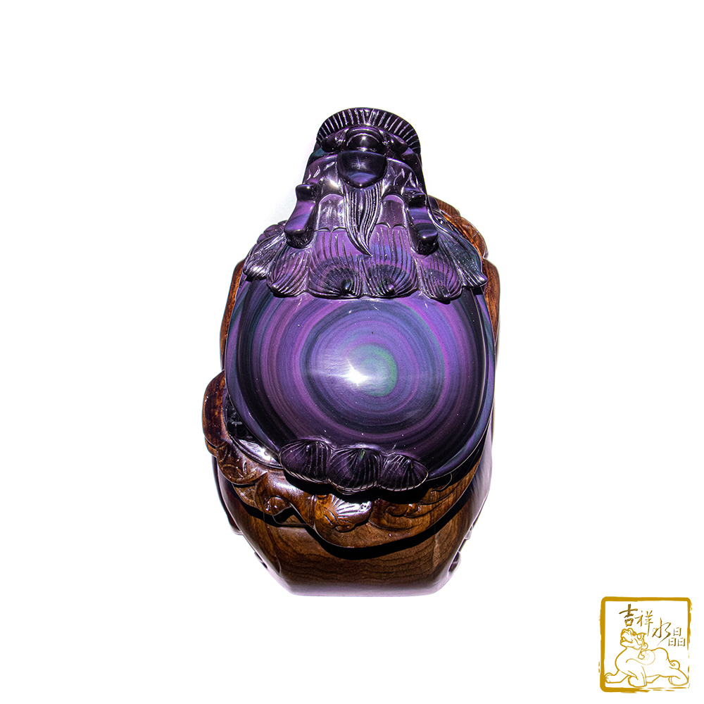 頂級彩虹黑曜石龍龜 2.67kg 事業貴人