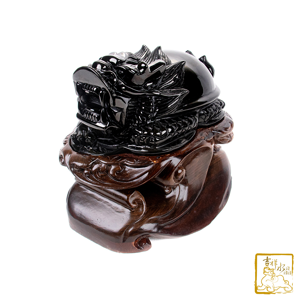 頂級彩虹黑曜石龍龜 2.67kg 事業貴人