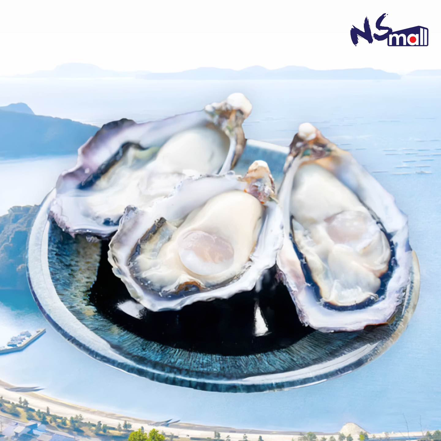 真蠔 兵庫赤穂武士 約50-60g/隻