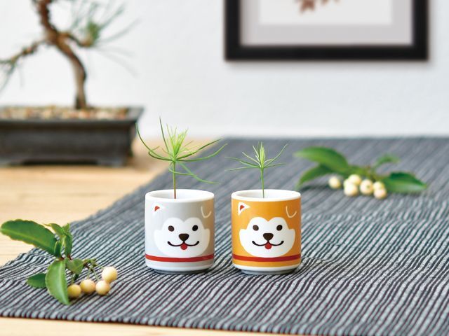 SeiShin GD-922 Shibainu Brown (兩款)