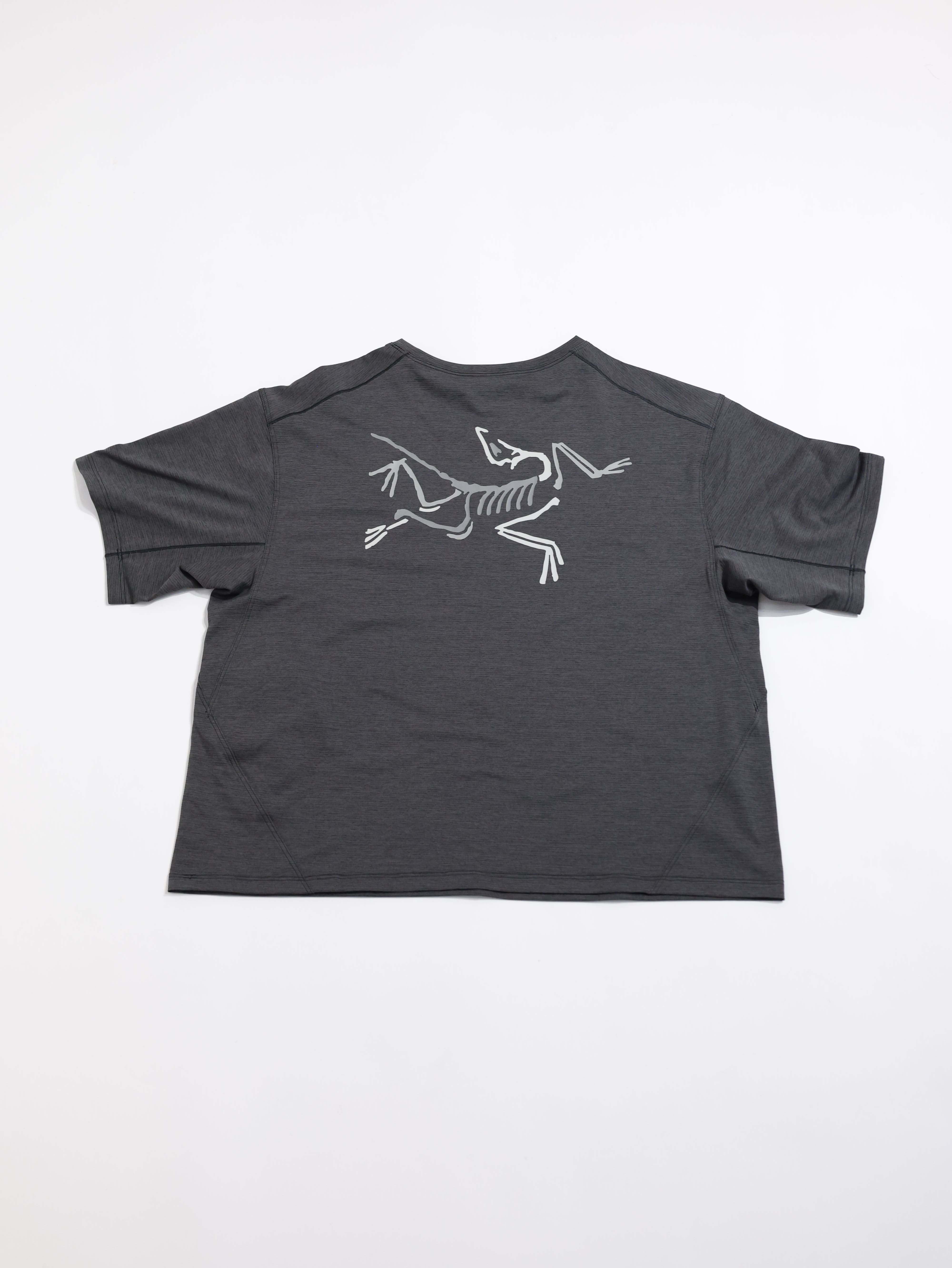 ARCTERYX 始祖鳥 女 Taema Crop Logo W 快乾短袖圓領衫  X000006631