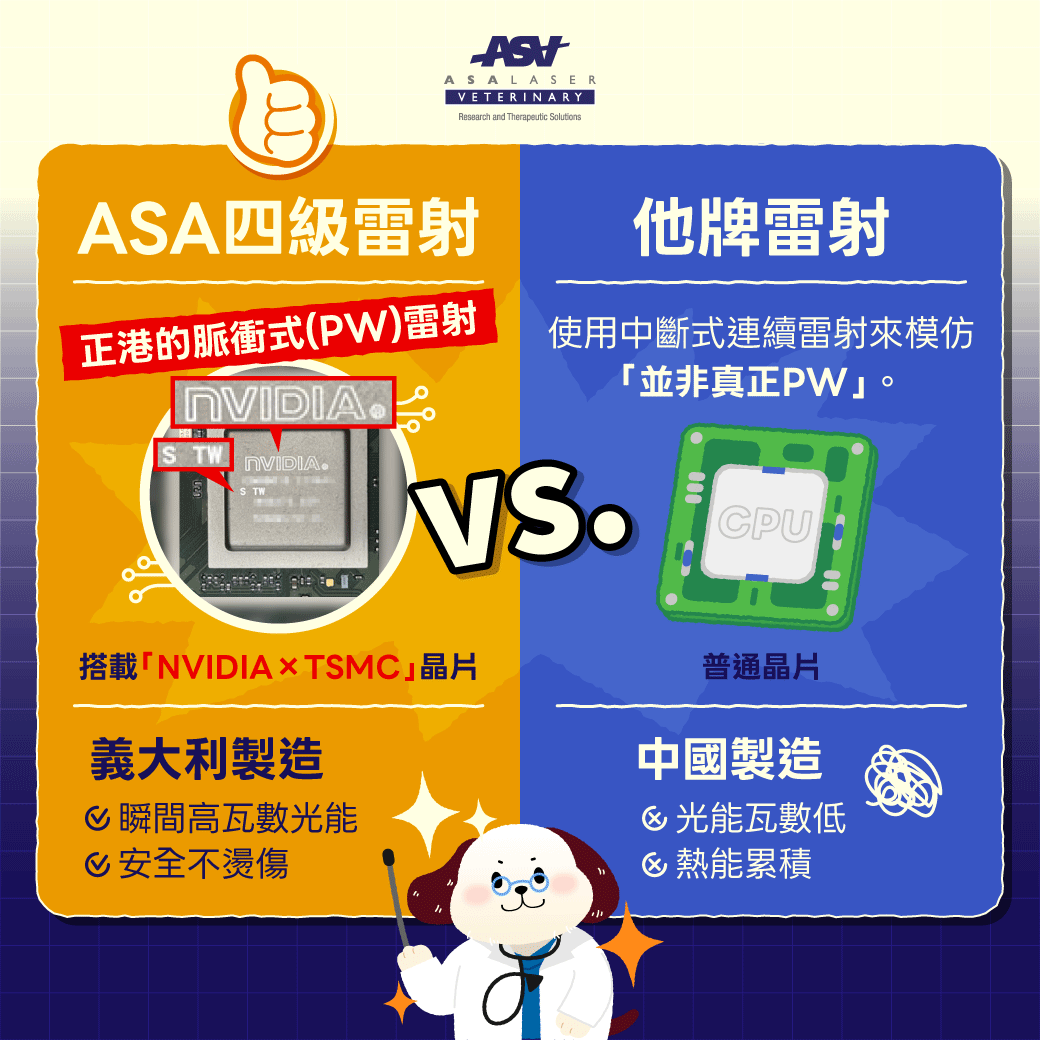 ASA寵物雷射 晶片