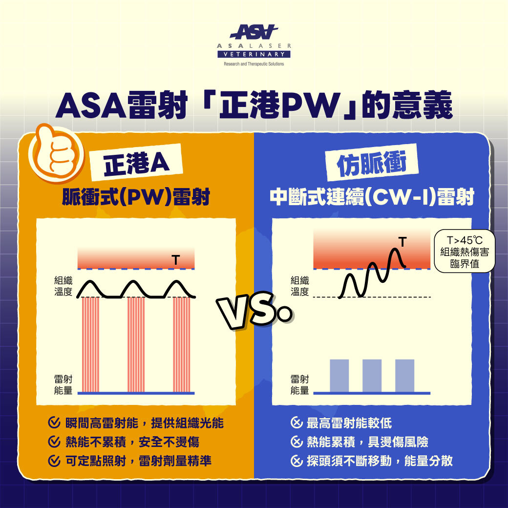 ASA寵物雷射 PW脈衝式