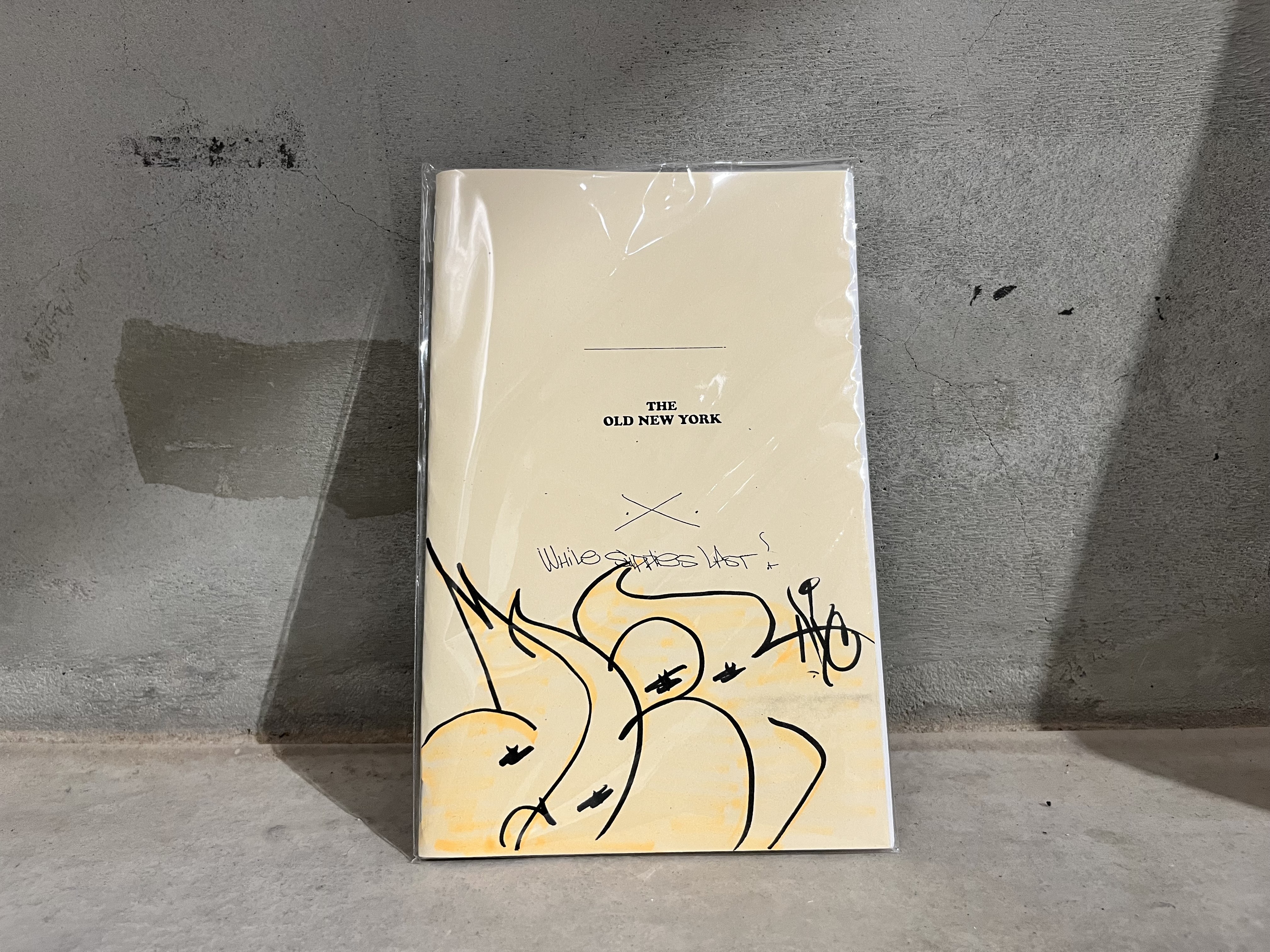 The old newyork zine