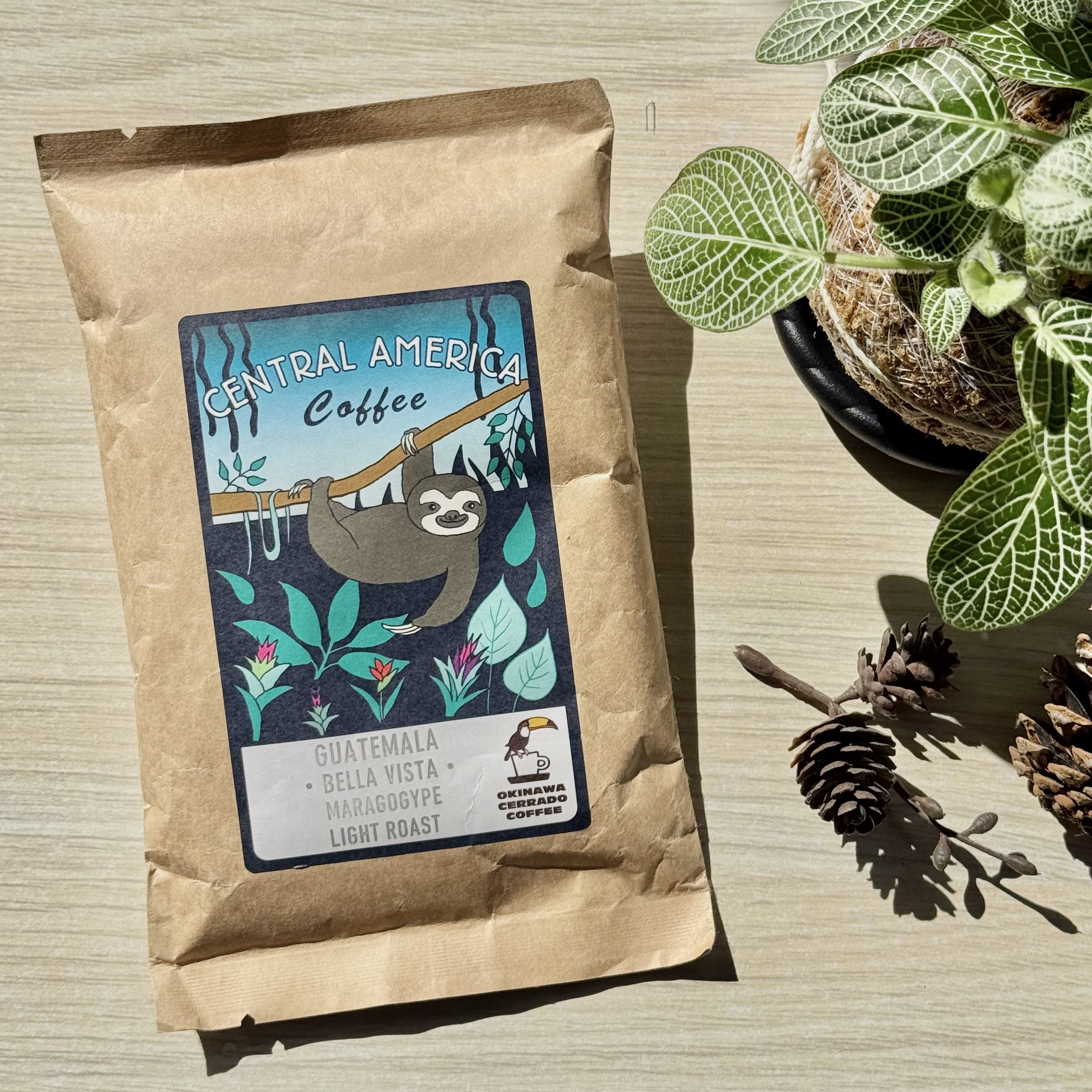 Cerrado - 瓜地馬拉Bella Vista