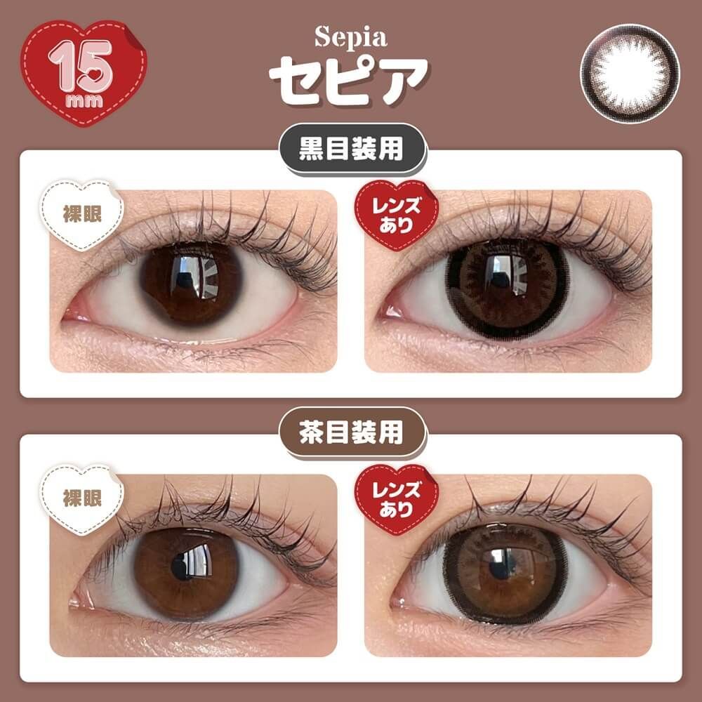 Honey Drops 1 Day (Sepia) (10P)