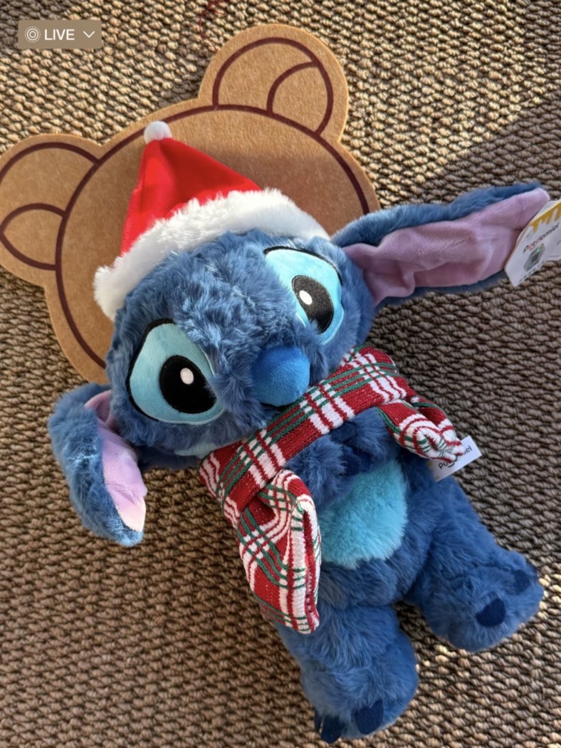 國外限定 DISNEY 史迪奇 冬日 聖誕限定款 聖誕帽 圍巾 玩偶 毛絨 娃娃