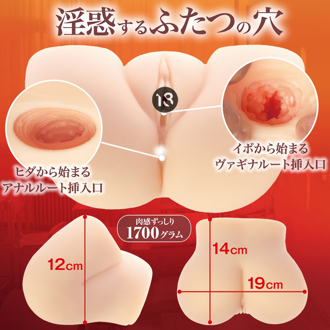 MACCOS 淫惑回憶 普通款 飛機杯