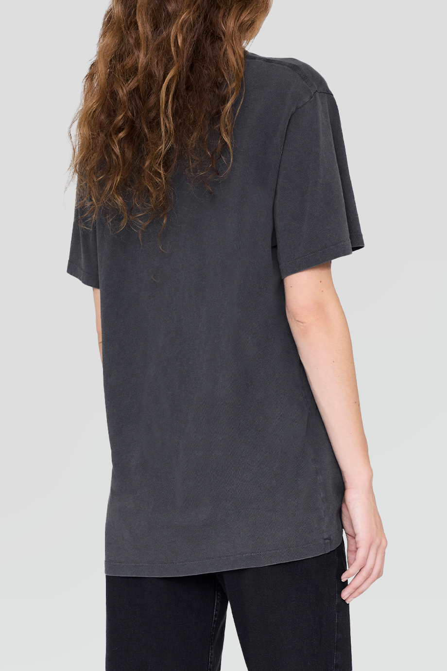 Anine Bing｜LILI 復古水洗馬印花T恤