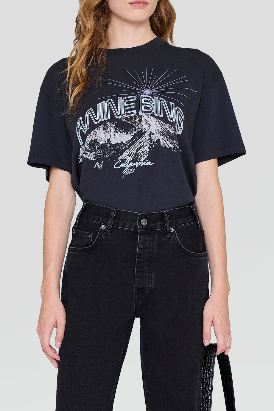 Anine Bing｜WALKER 復古山脈印花T恤