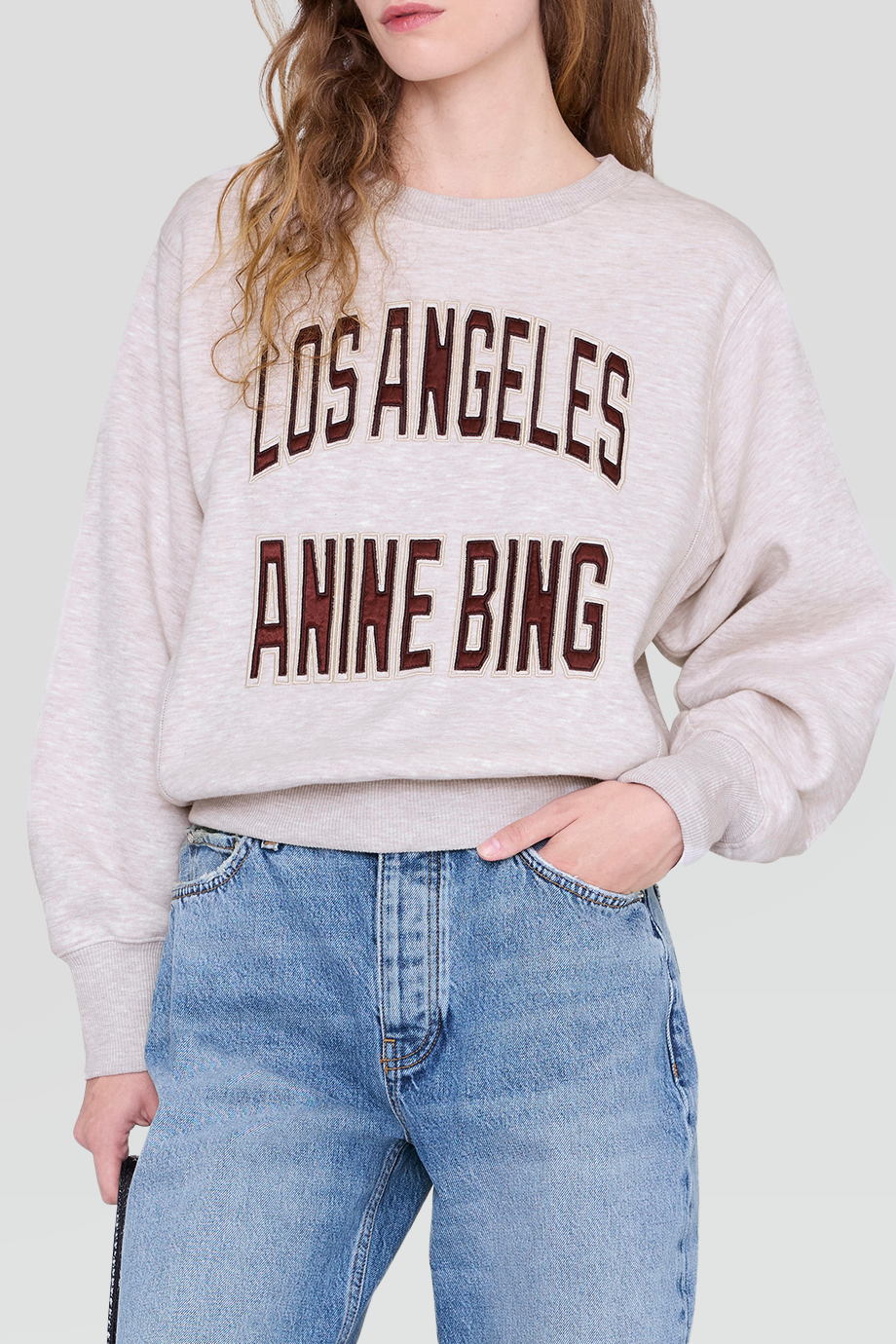 Anine Bing｜HARRY 品牌絨布貼飾衛衣