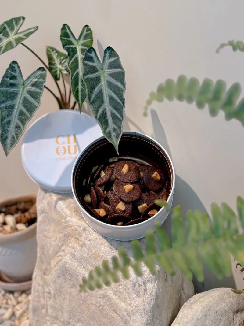 預購【03月27日 (五)】本家生機💮可可豆脆片(100%非基改豆乳)【150±9克/盒】