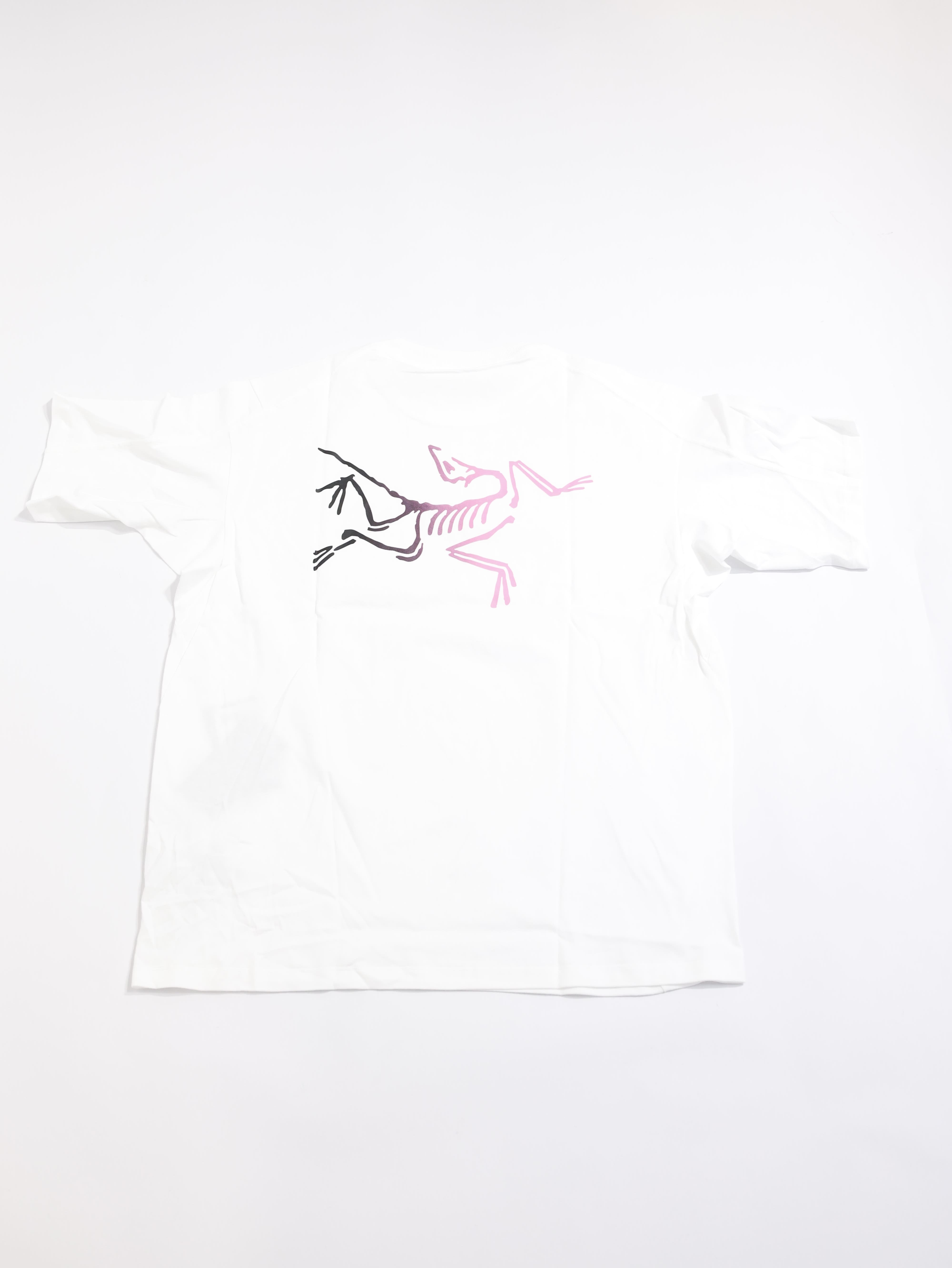ARCTERYX 始祖鳥 男 Kragg Logo 短袖休閒Tee X000008464