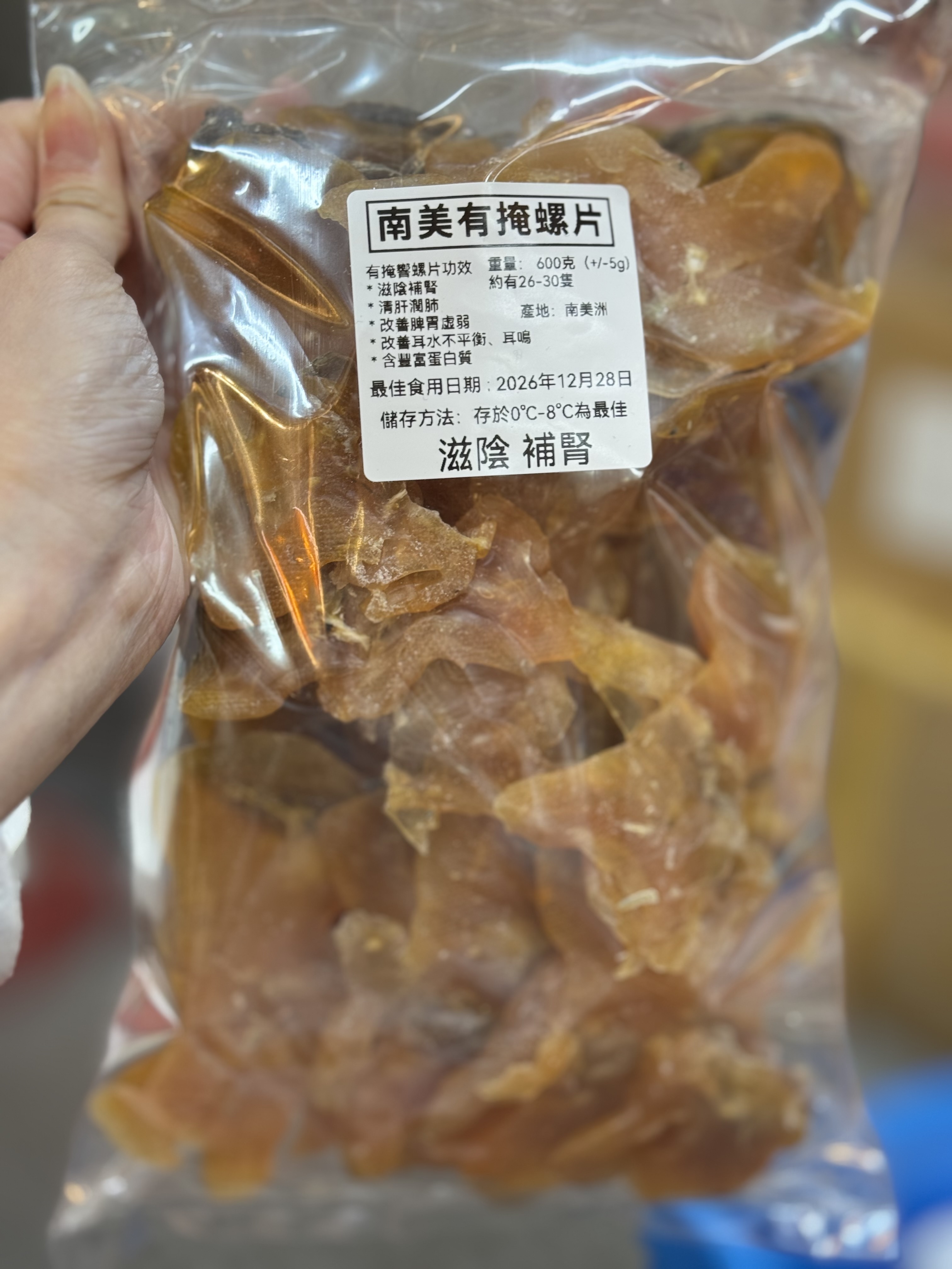 （5544）南美有掩螺（中號）一斤約22-30隻）