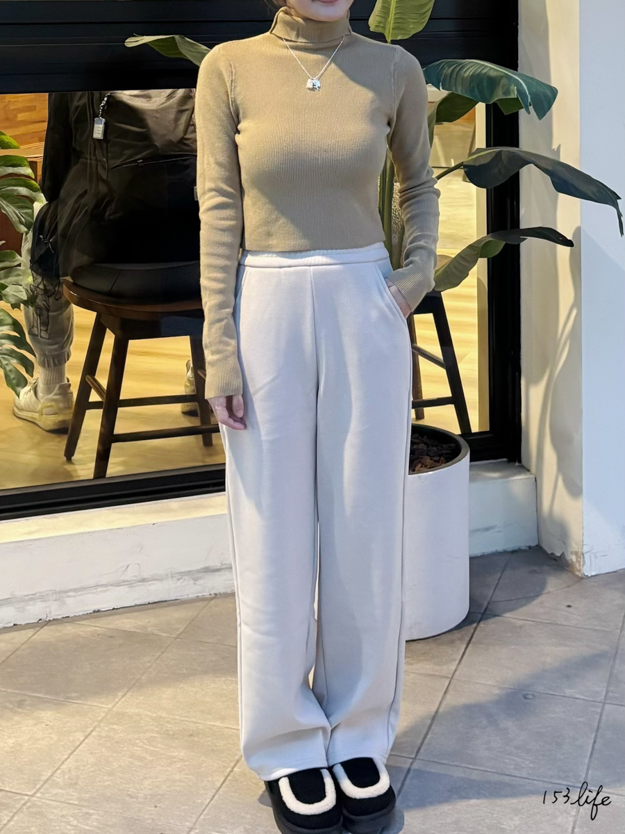 |現貨|百搭短版針織高領內搭上衣(5色)