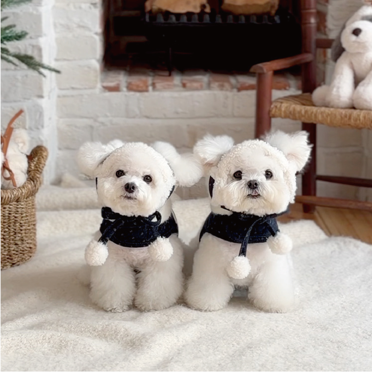 Dotty Noël 洋裝/連身褲