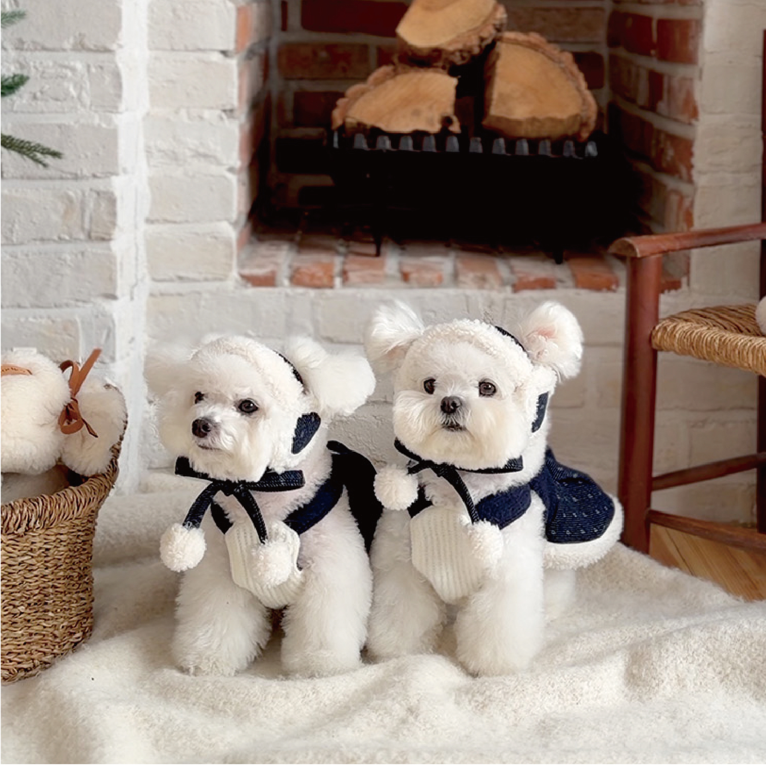 Dotty Noël 洋裝/連身褲