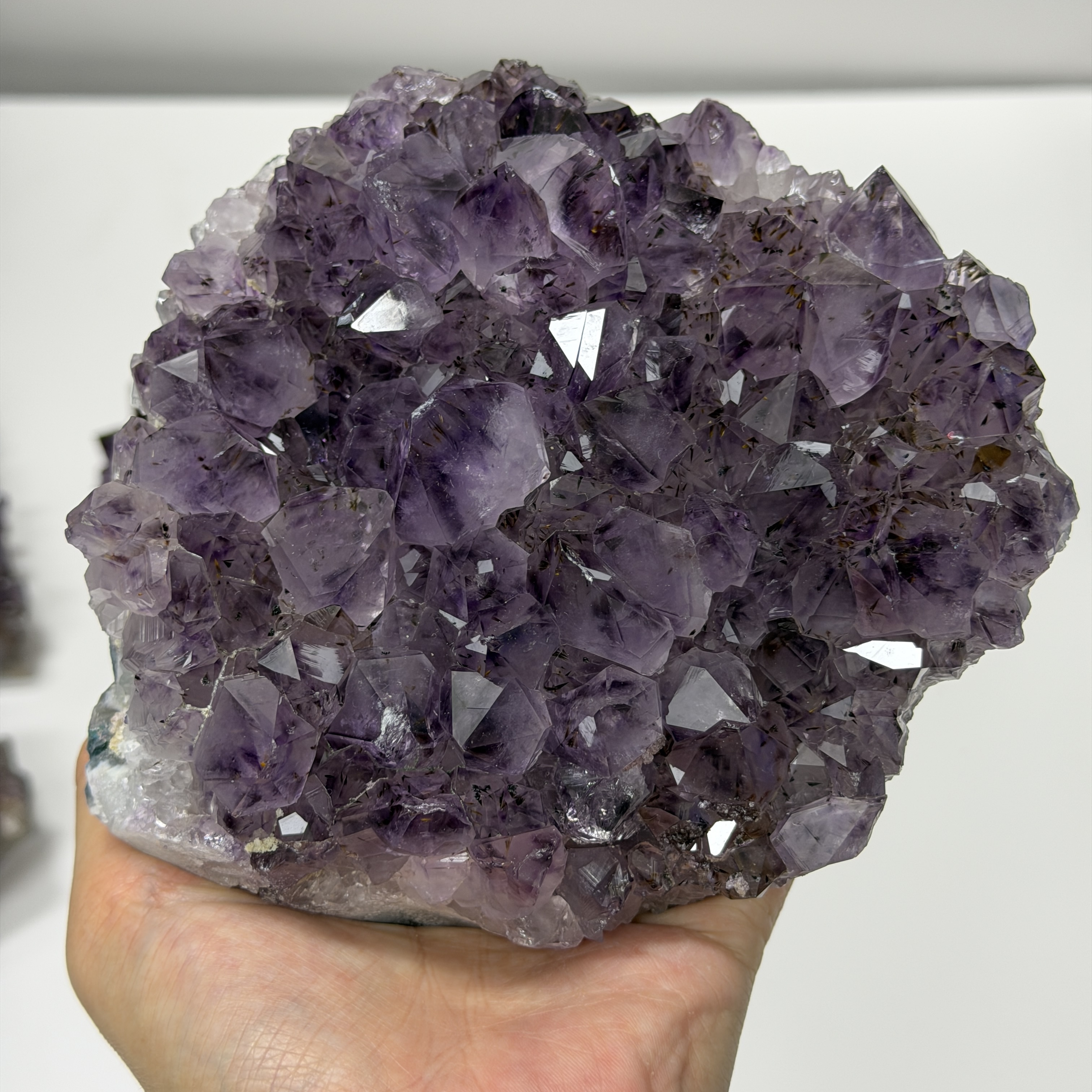 鈦晶簇 1173G AC2331