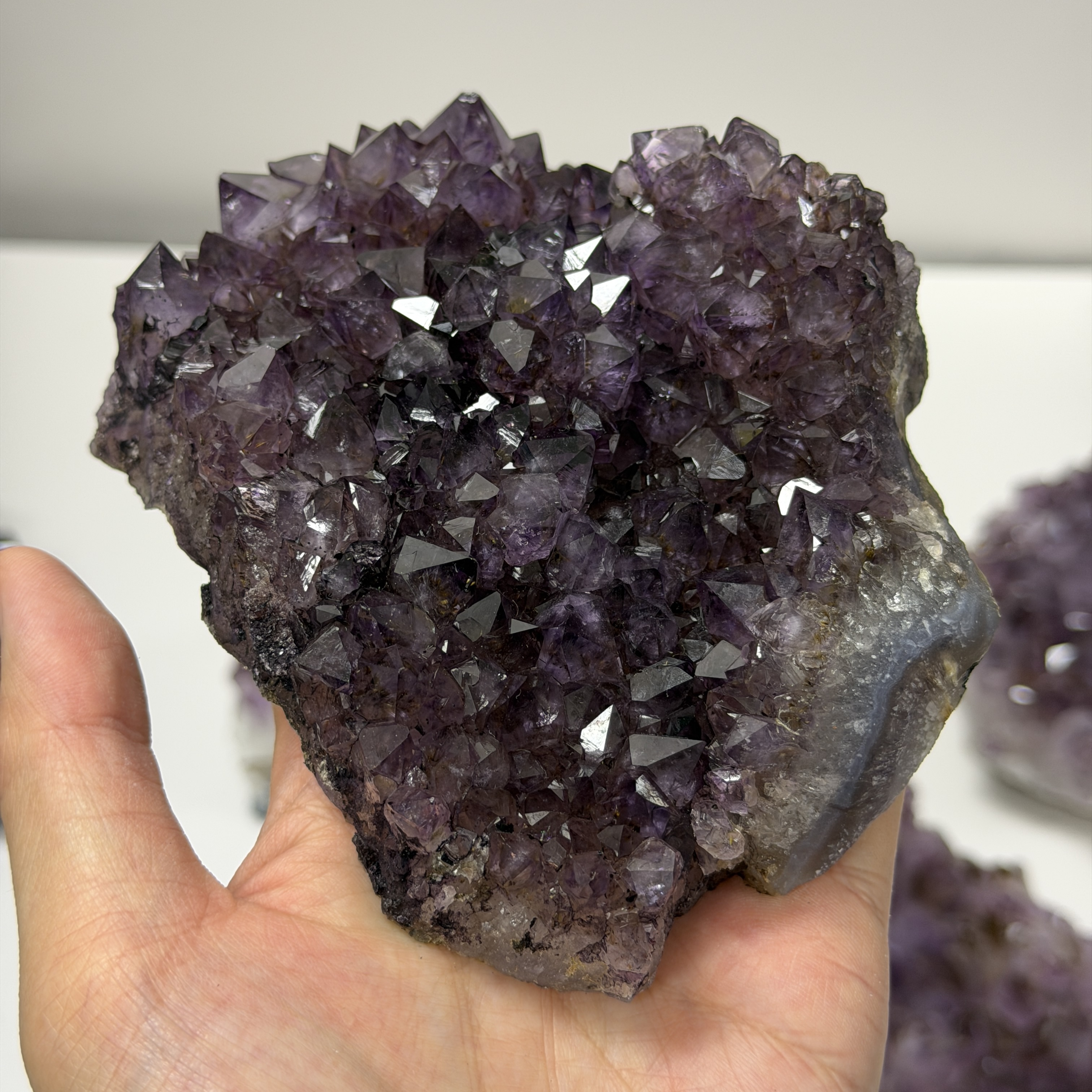 鈦晶簇 554G AC2329