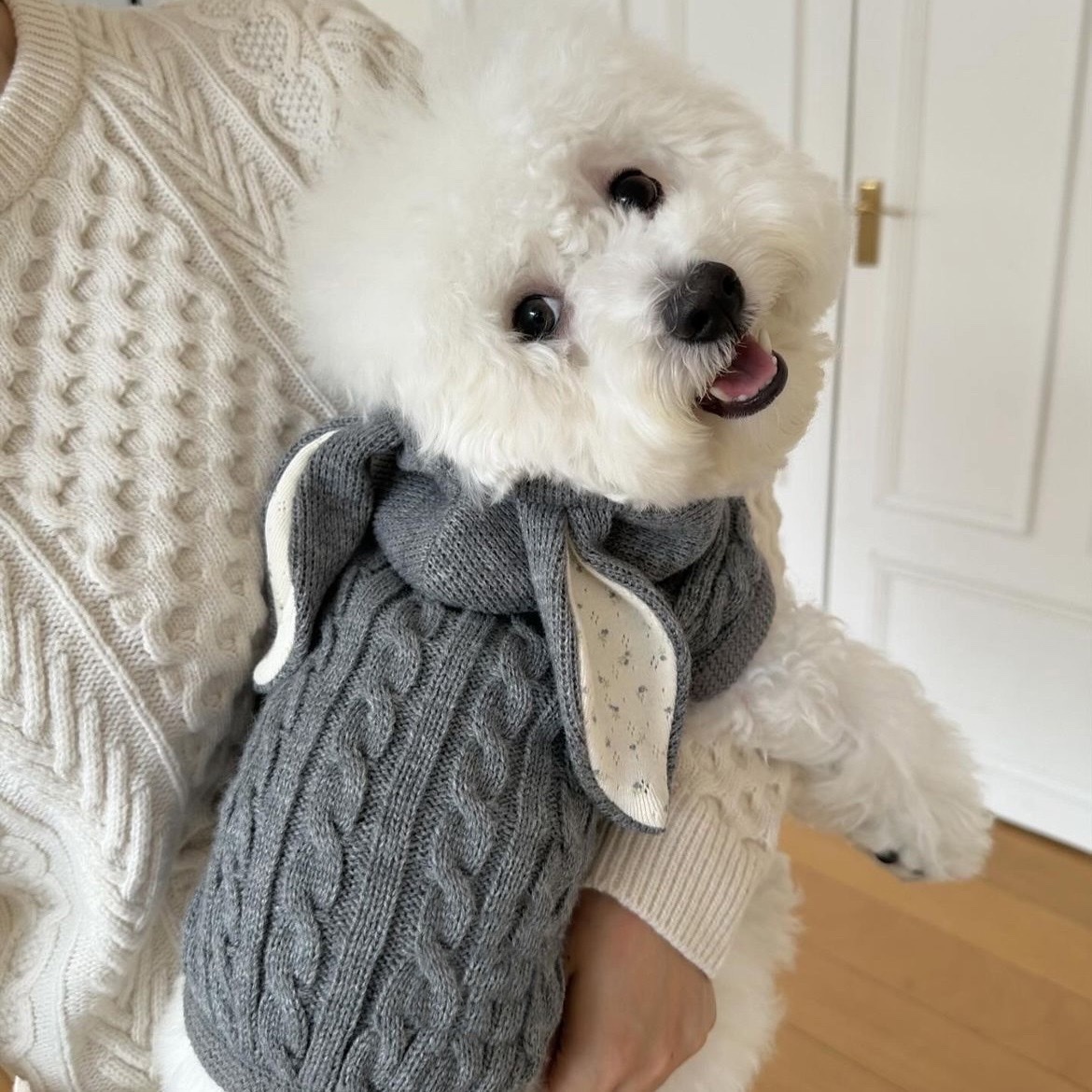 針織背心款+兔仔帽設計（3色選擇）寵物保暖款