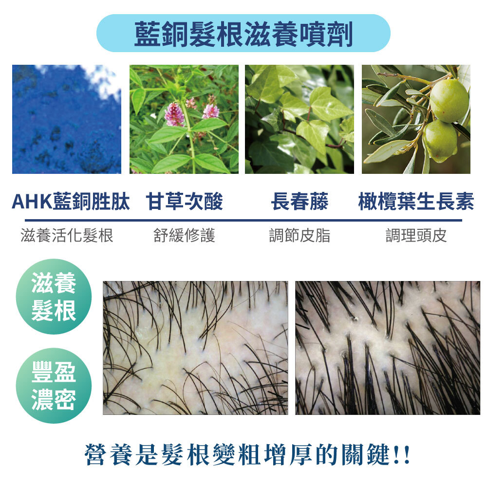 髮利明藍銅養髮液