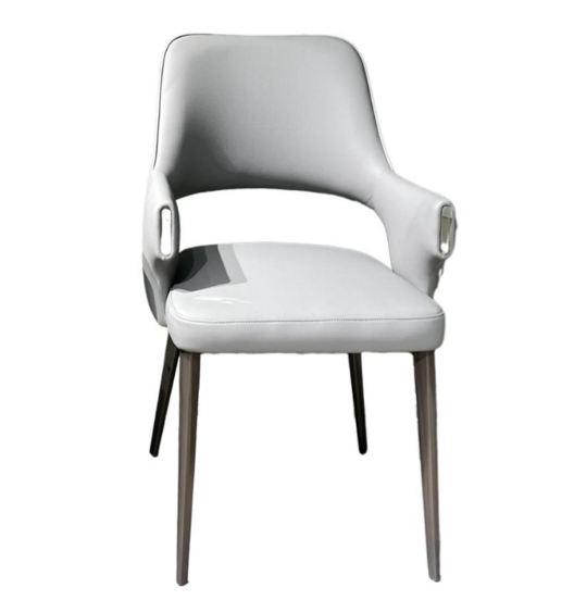 FY1126餐椅 Dining Chair