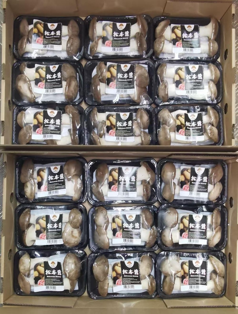 本地松本茸菌（200g/盒）