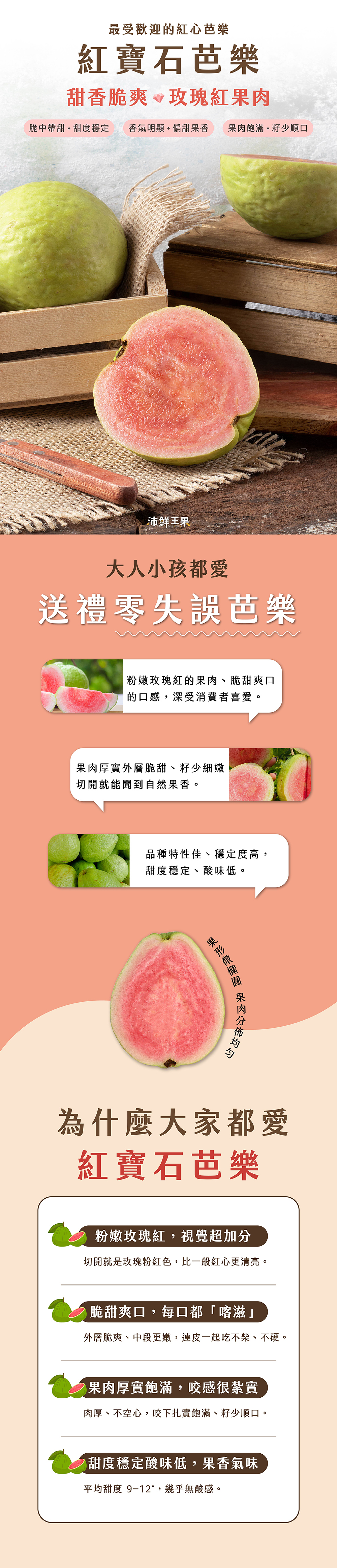 紅寶石芭樂,紅心芭樂,紅寶石,紅心,產地,直送,現採,彰化,百香果,都香,都香三號,都香3號,十九,甜,禮盒,水果,金都,3號,金都3號,金都三號